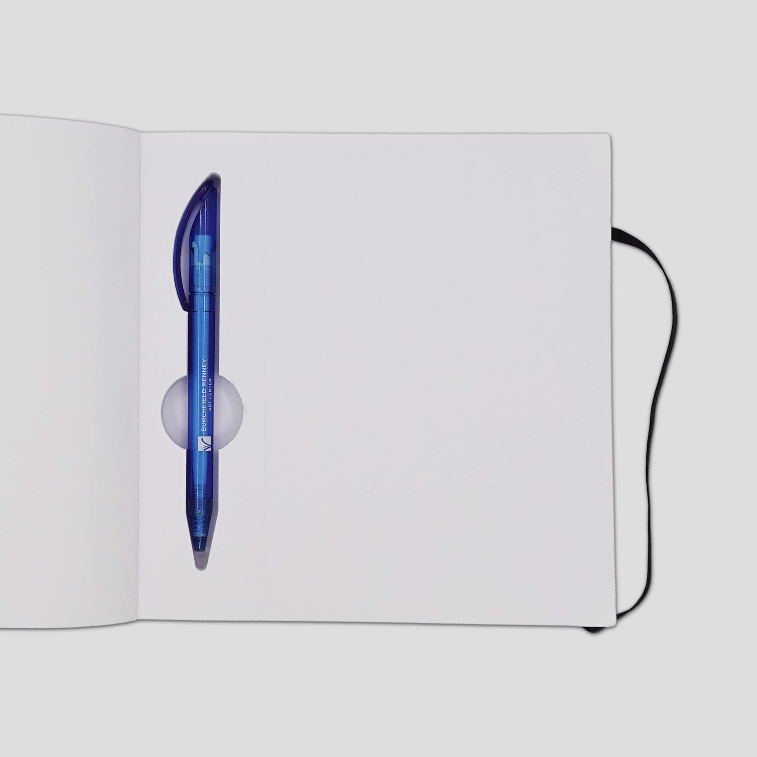 Wind Blown Asters Journal with Pen