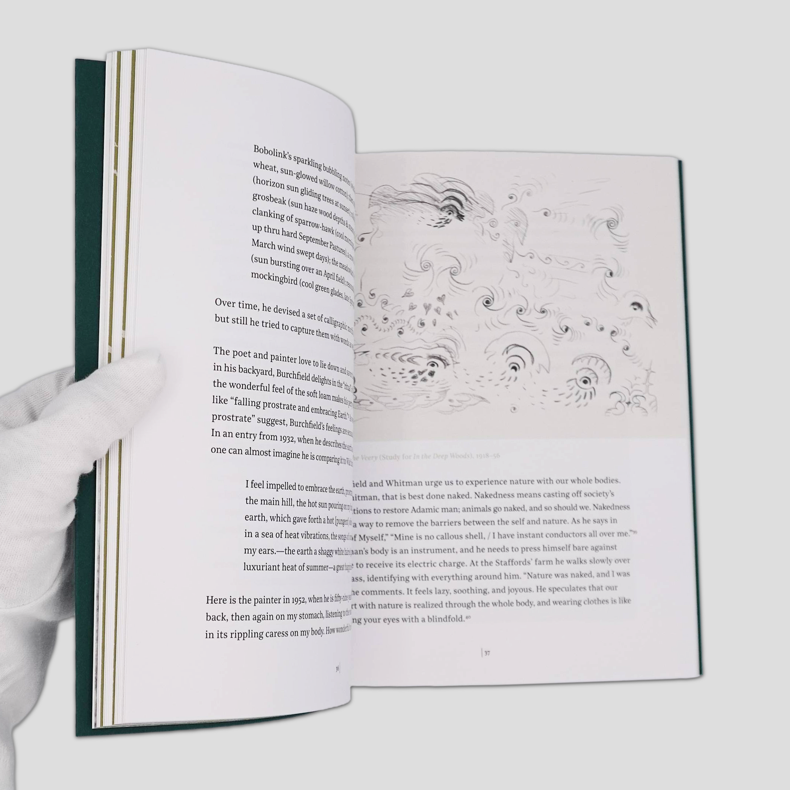 Embracing Earth Burchfield and Whitman Exhibition Catalog