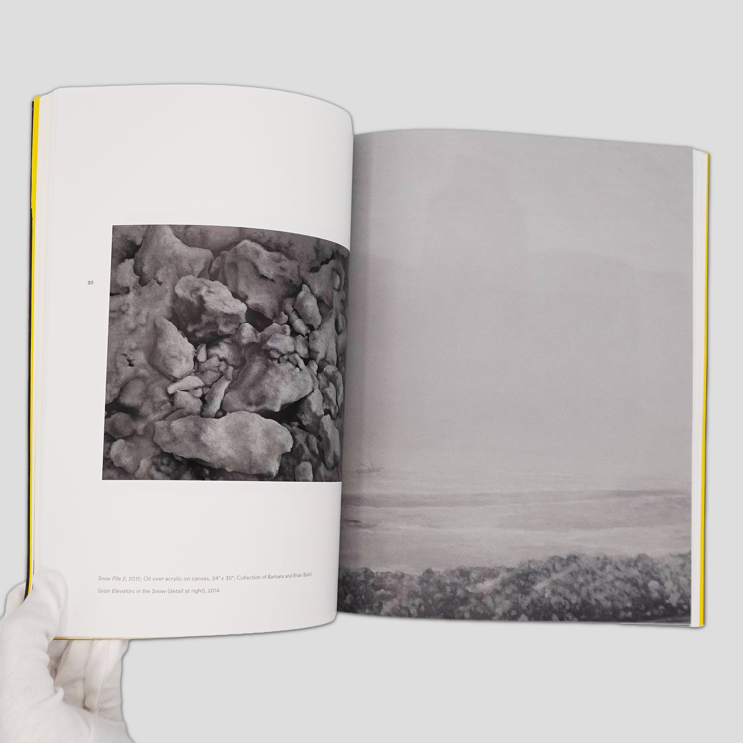 AJ Fries: The Icing on the Cake  Exhibition Catalog