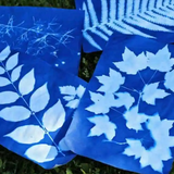 Cyanotype Printing