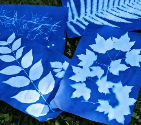 Slide image