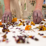 Impressions of Nature: Botanical Textile Printing