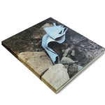 Slide image
