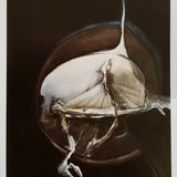 Adele Cohen: The Inner Image